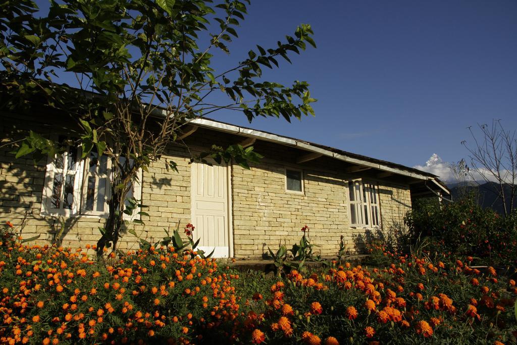 Annapurna Eco Village Pokhara Exterior photo
