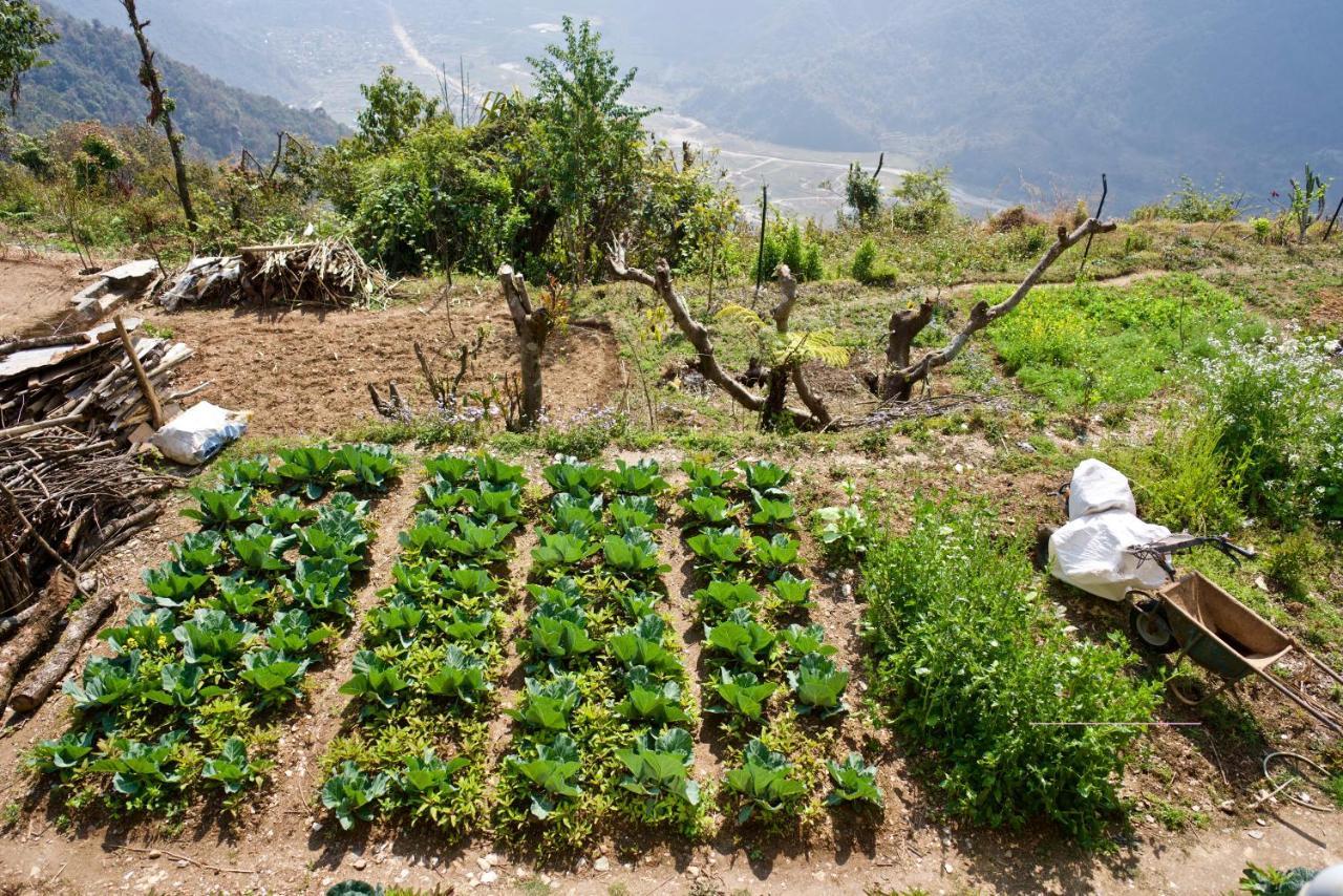 Annapurna Eco Village Pokhara Exterior photo